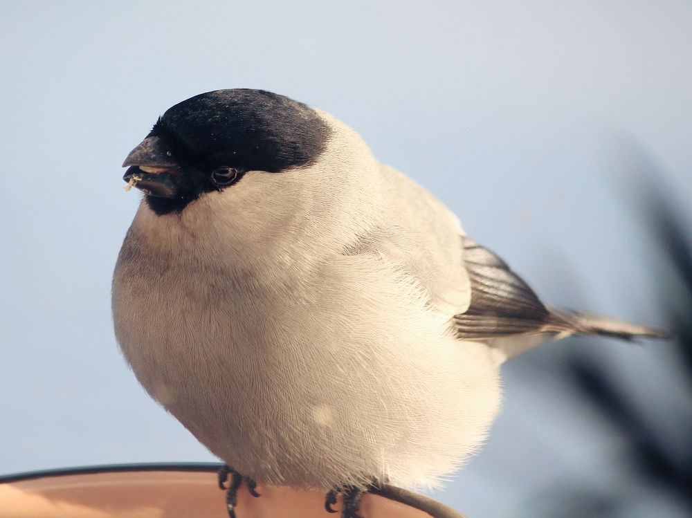 Photograph by Юлия Серазетдинова