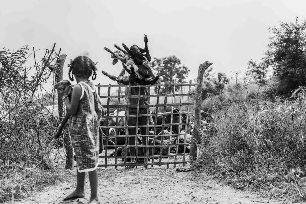 Photograph by Dnyaneshwar Vaidya