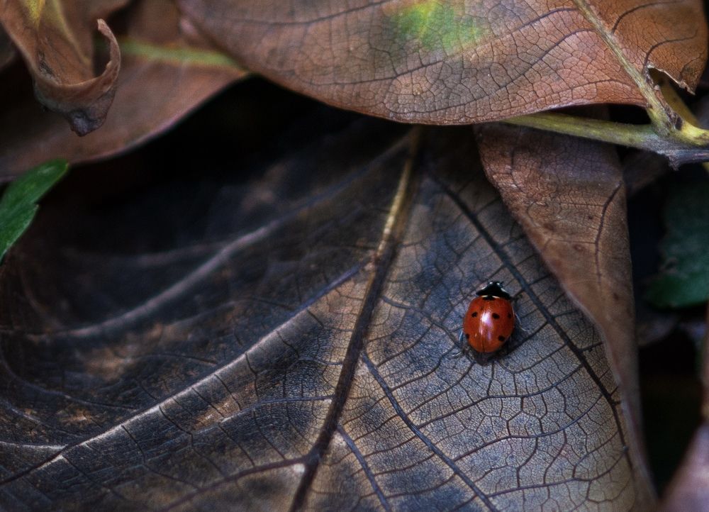 Photograph by Дмитрий Дудоладов