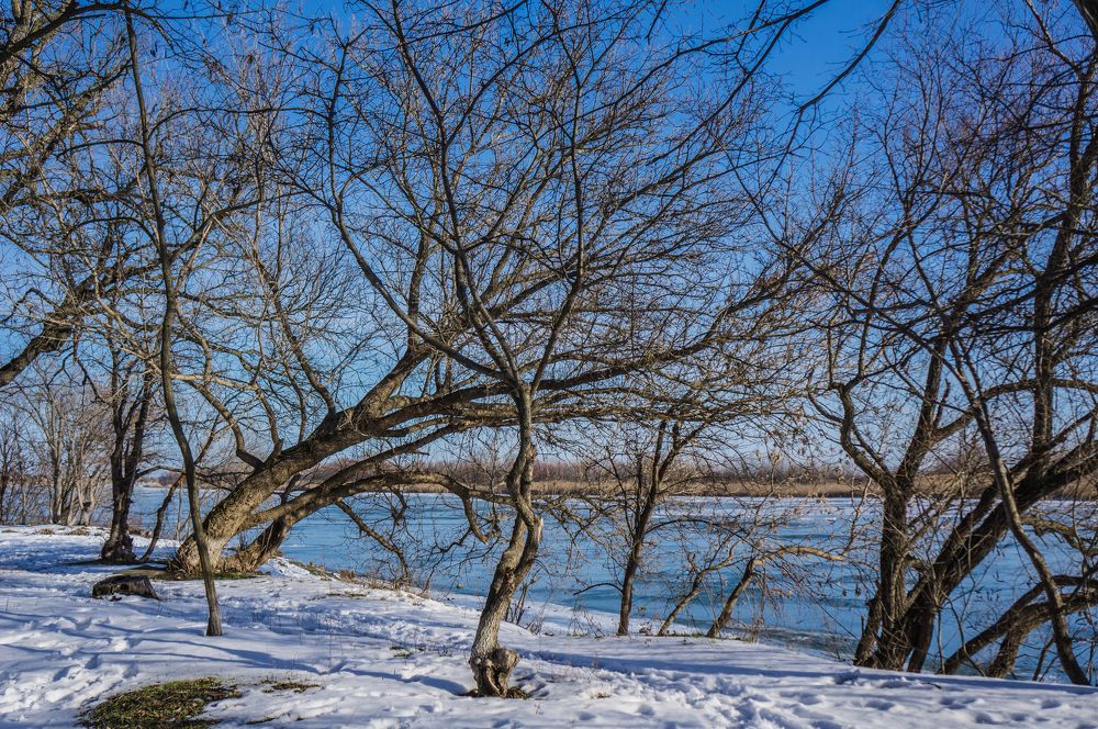 Photograph by Петр Александровский