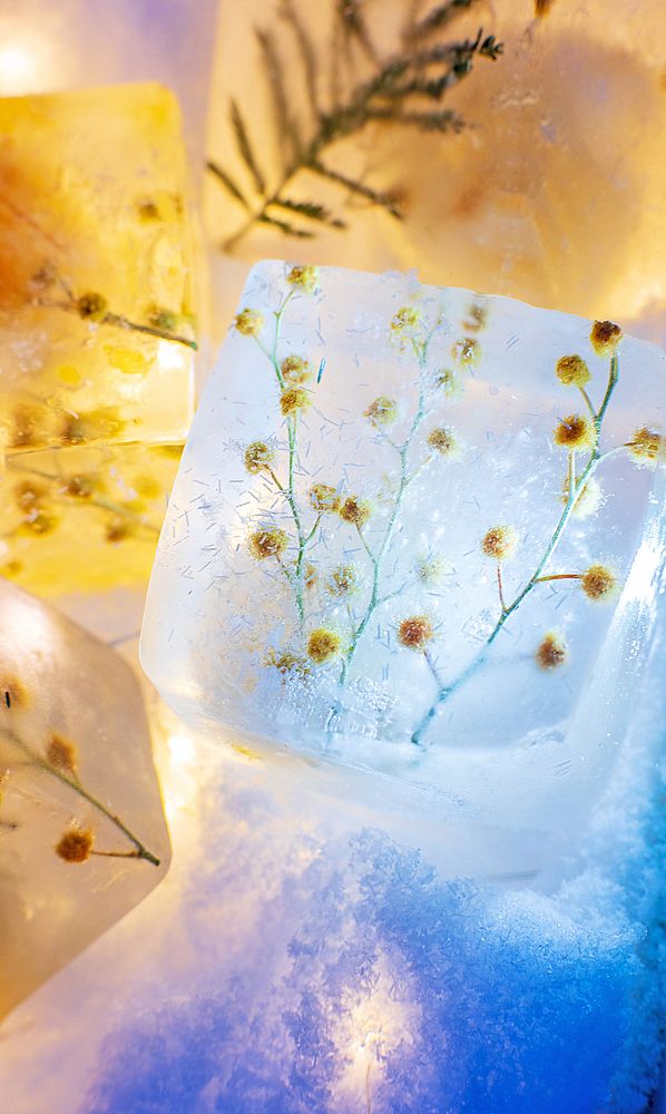 Photograph by Александра Крутова