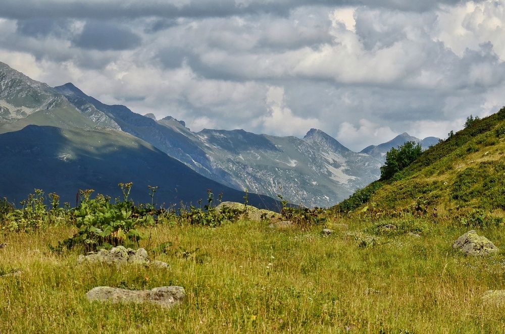 Photograph by Алексей Фомичев