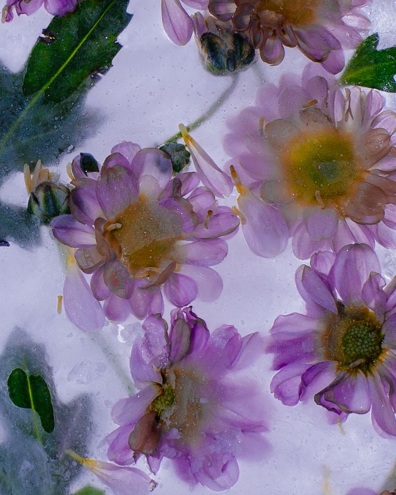 Photograph by Александра Крутова