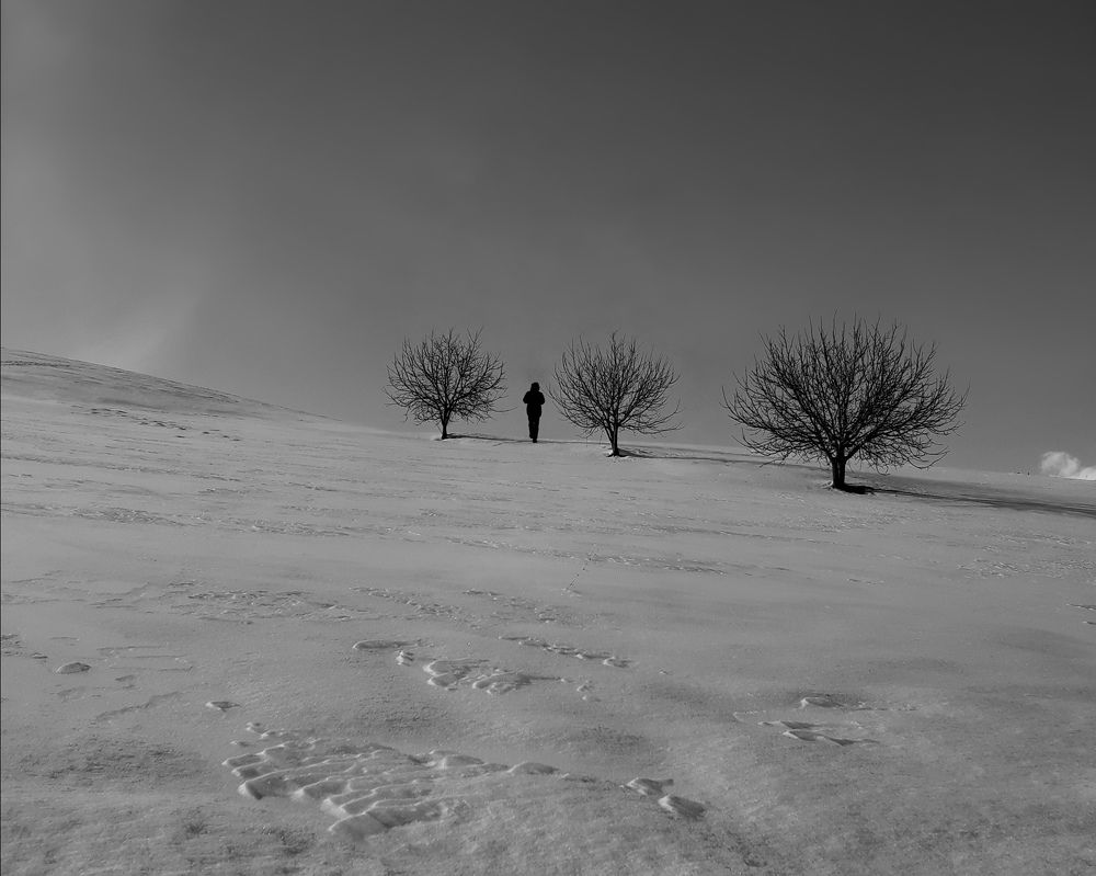 Фотография автора Alipour mohammad