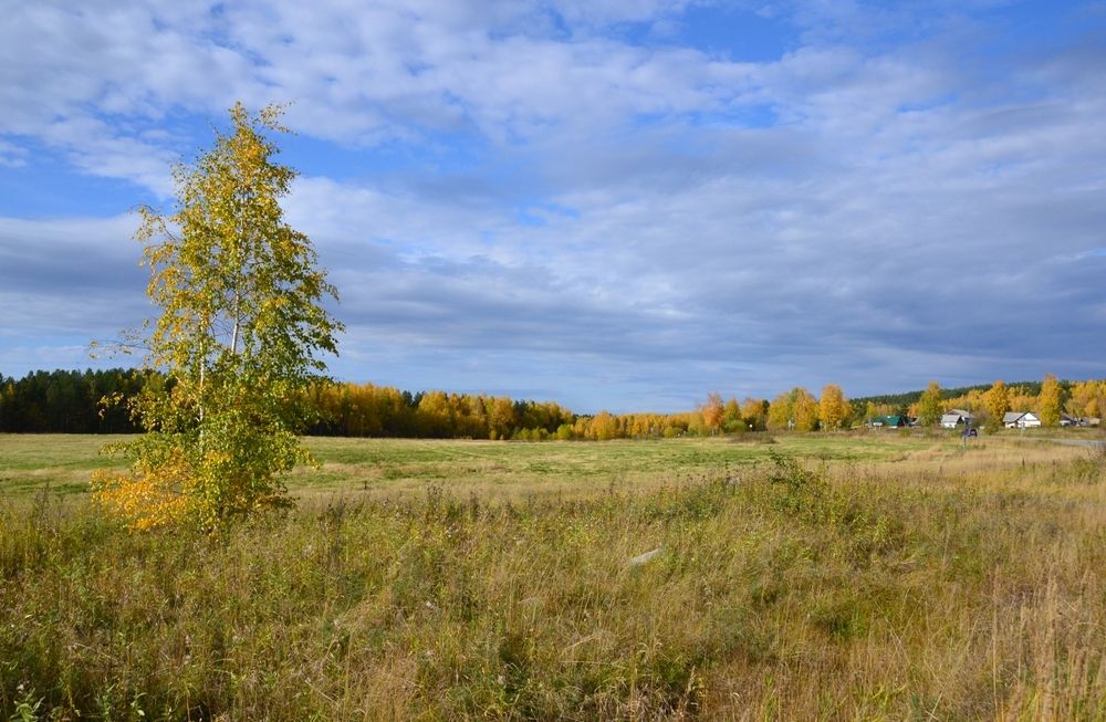 Photograph by Владислав Завальнюк