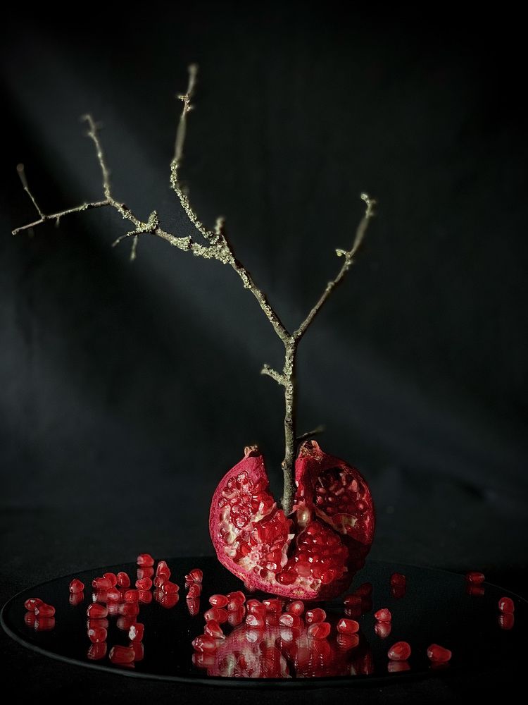 Photograph by Анна Адаменко