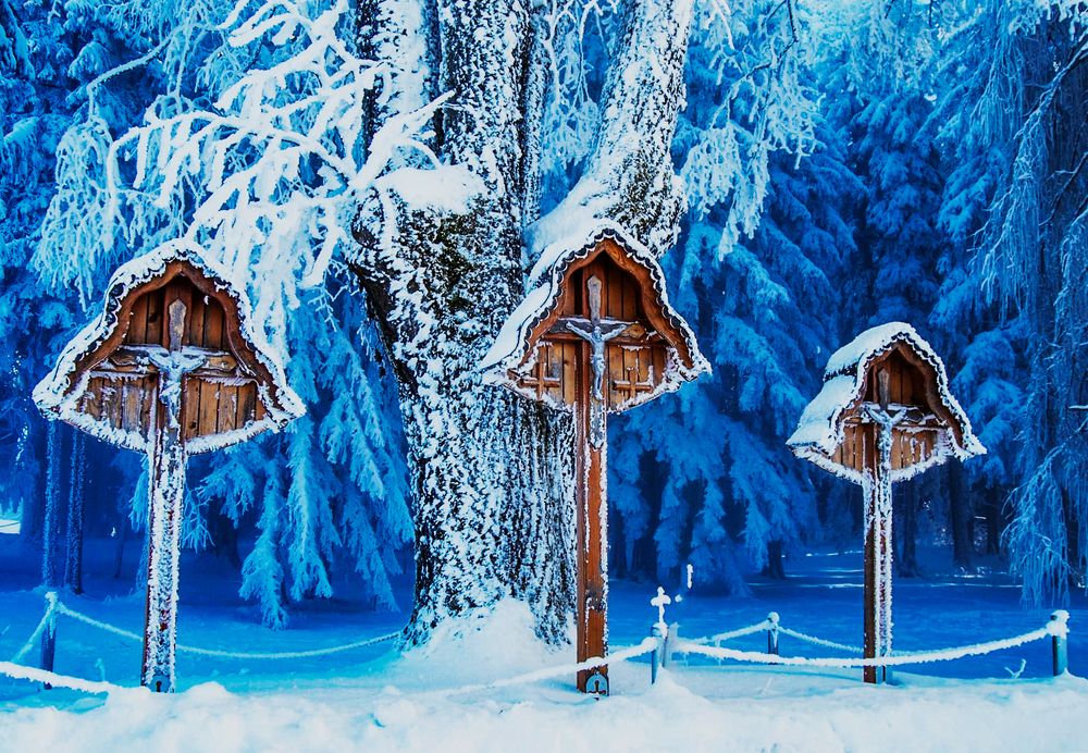 Photograph by Boris Pušnik