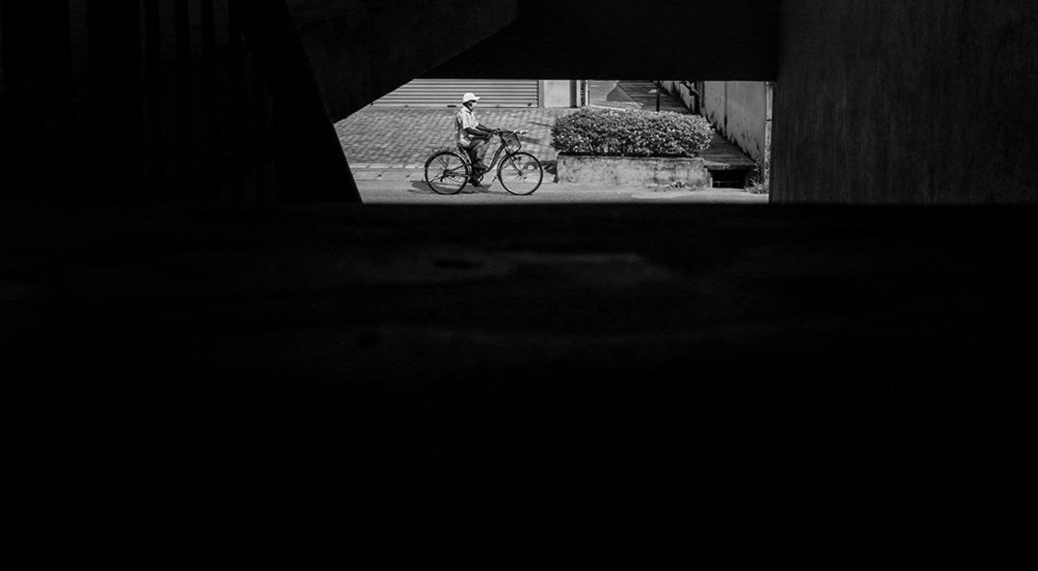 Photo #5885949