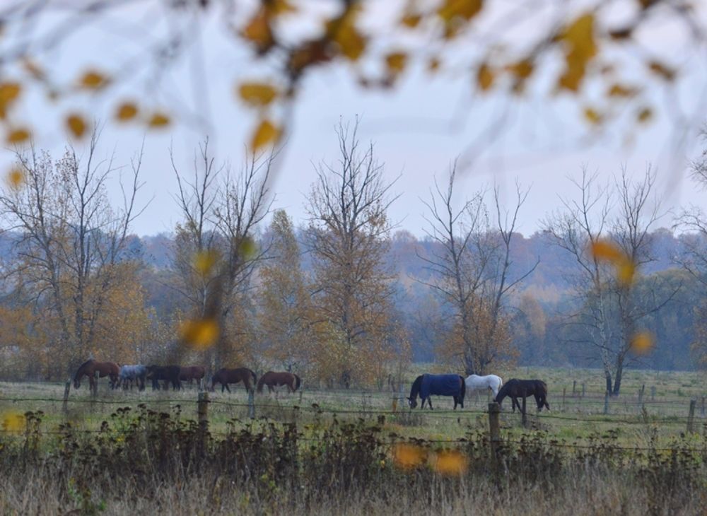 Photograph by Марина Адамковская