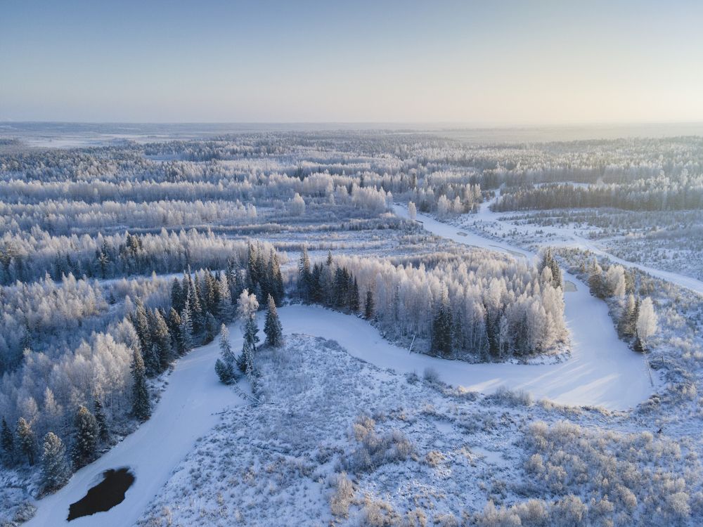 Photograph by Татьяна Борисова