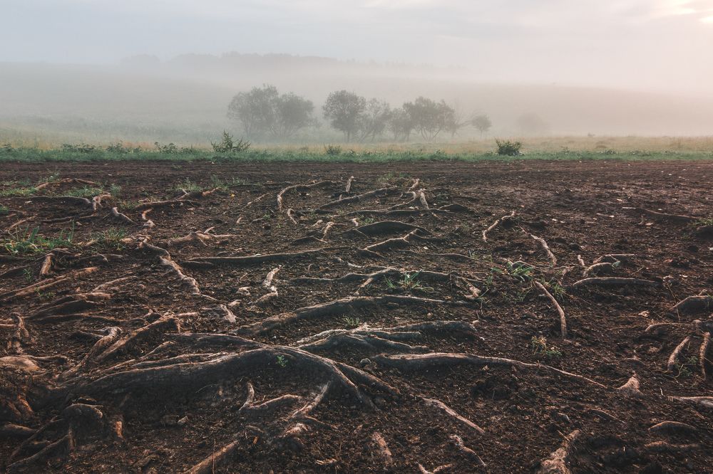 Photograph by Александр Будов