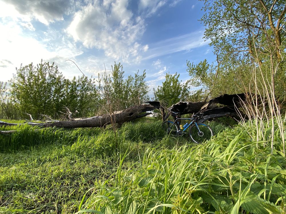 Photograph by Denis Skulimovskiy