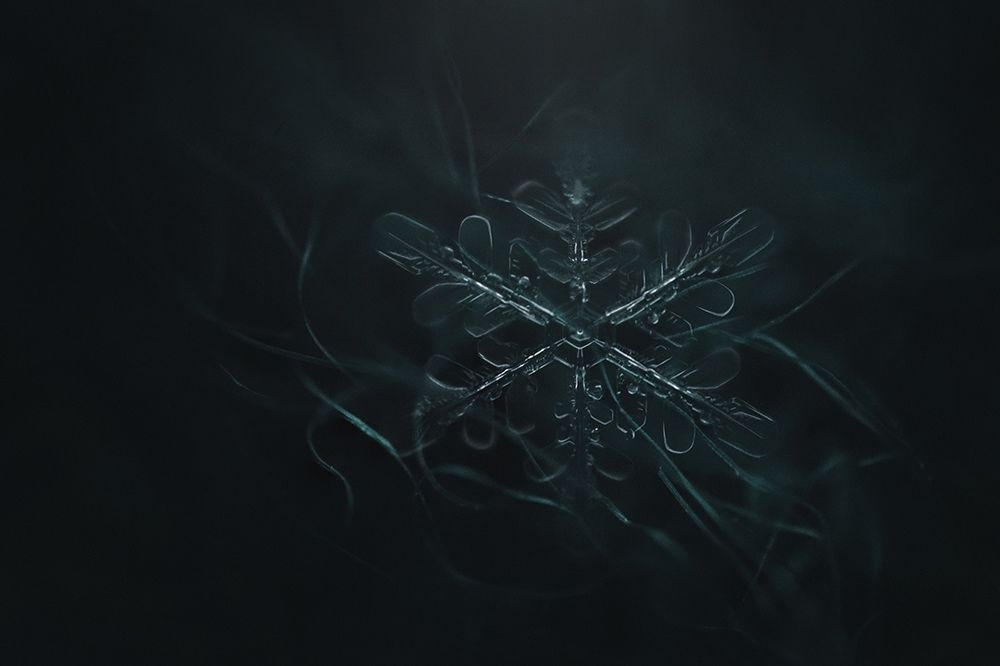 Photograph by Фролова Евгения