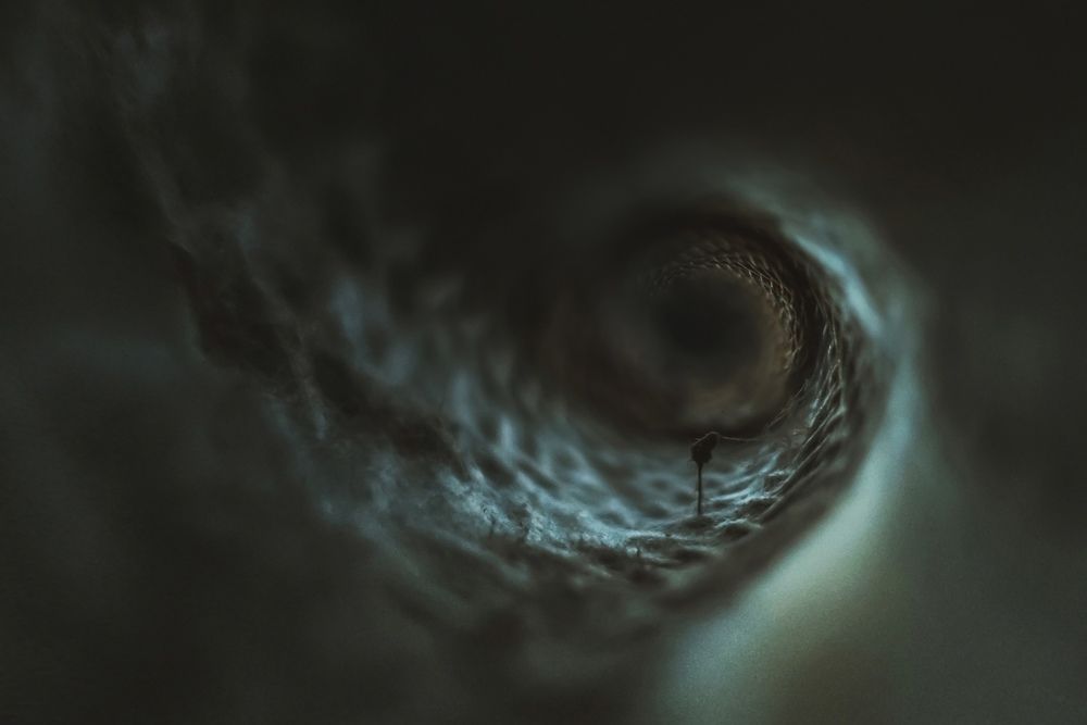 Photograph by Фролова Евгения