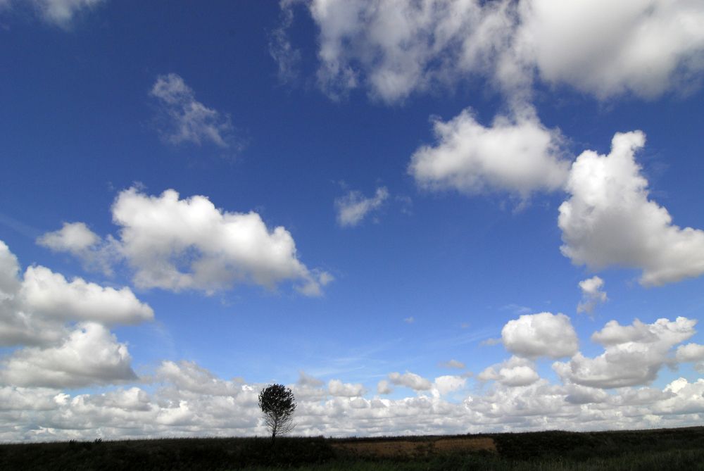 Photograph by Артур Дагнер