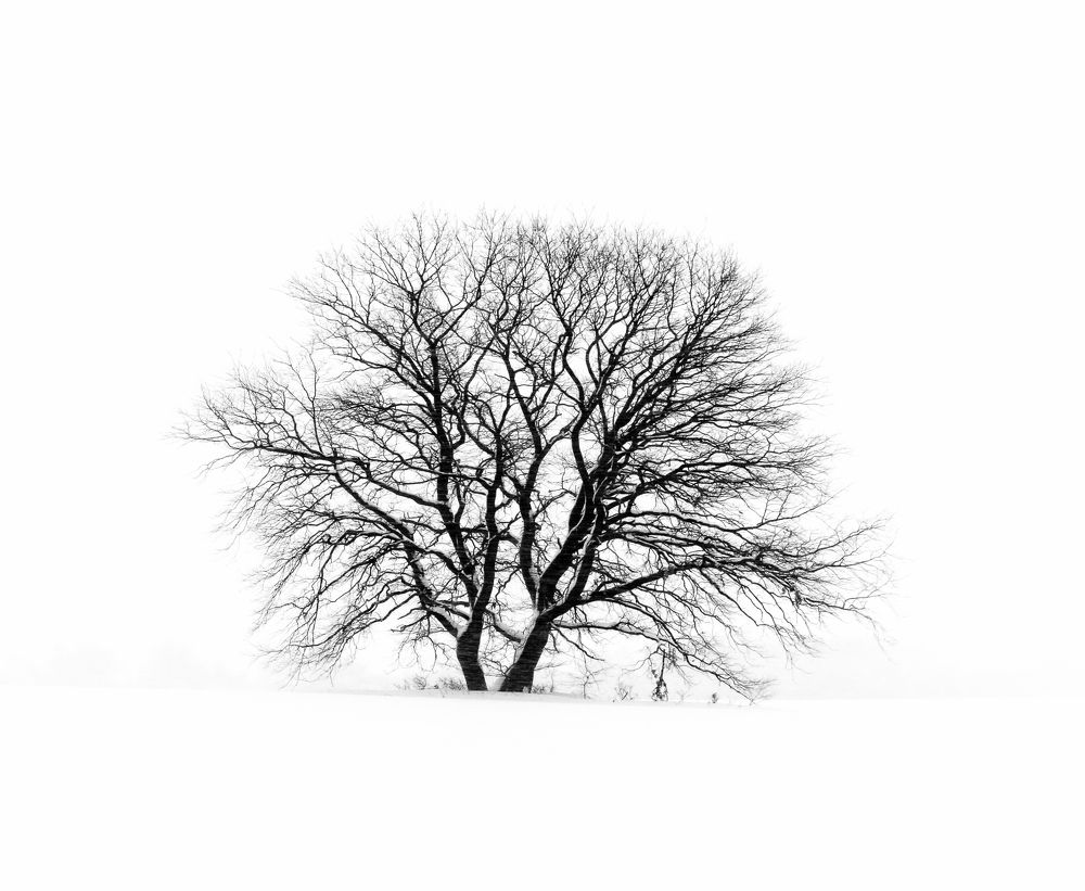 Photograph by Алексей Кроль