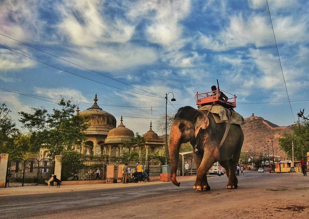 Фотография автора Abhishek mrityunjay Pandey