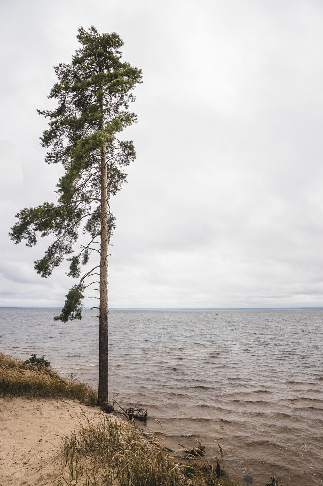 Сопротивляясь ветру...