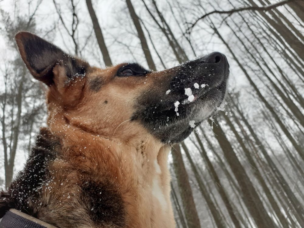 Photograph by Елена Димова