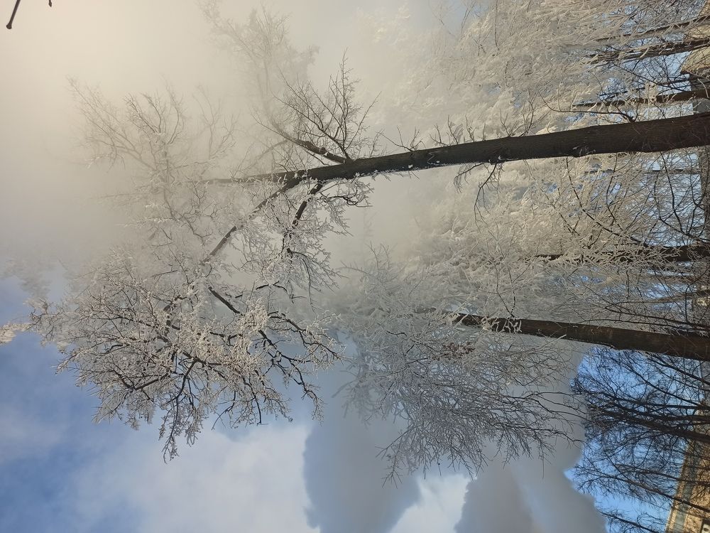 Photograph by Алёна Лихачёва