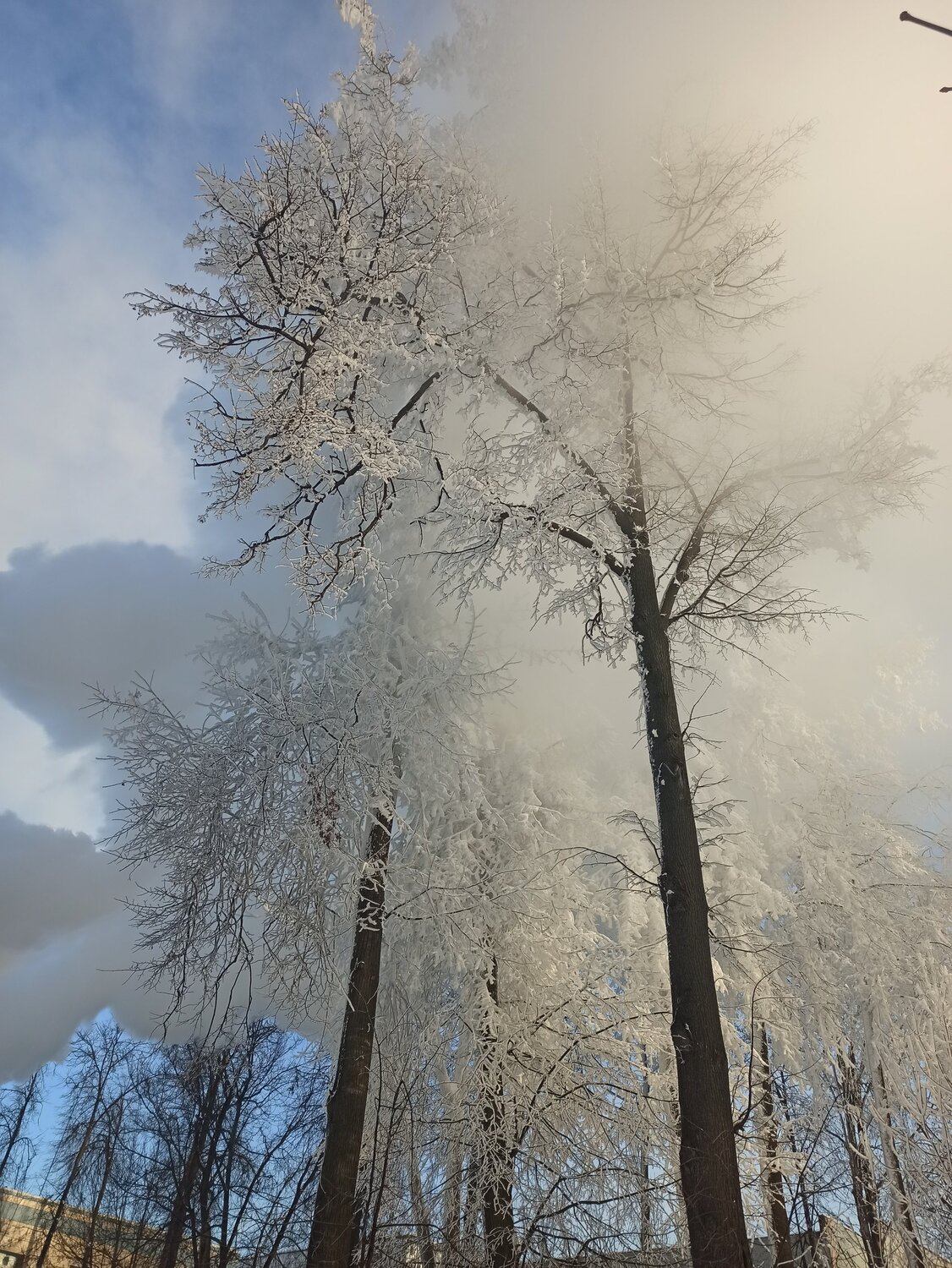 Photo #5886390