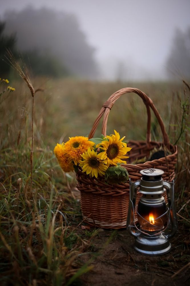 Photograph by Татьяна Кытина