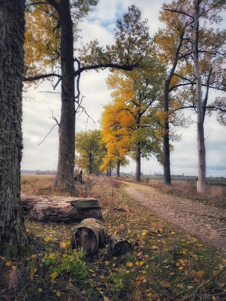 Photo #5886503