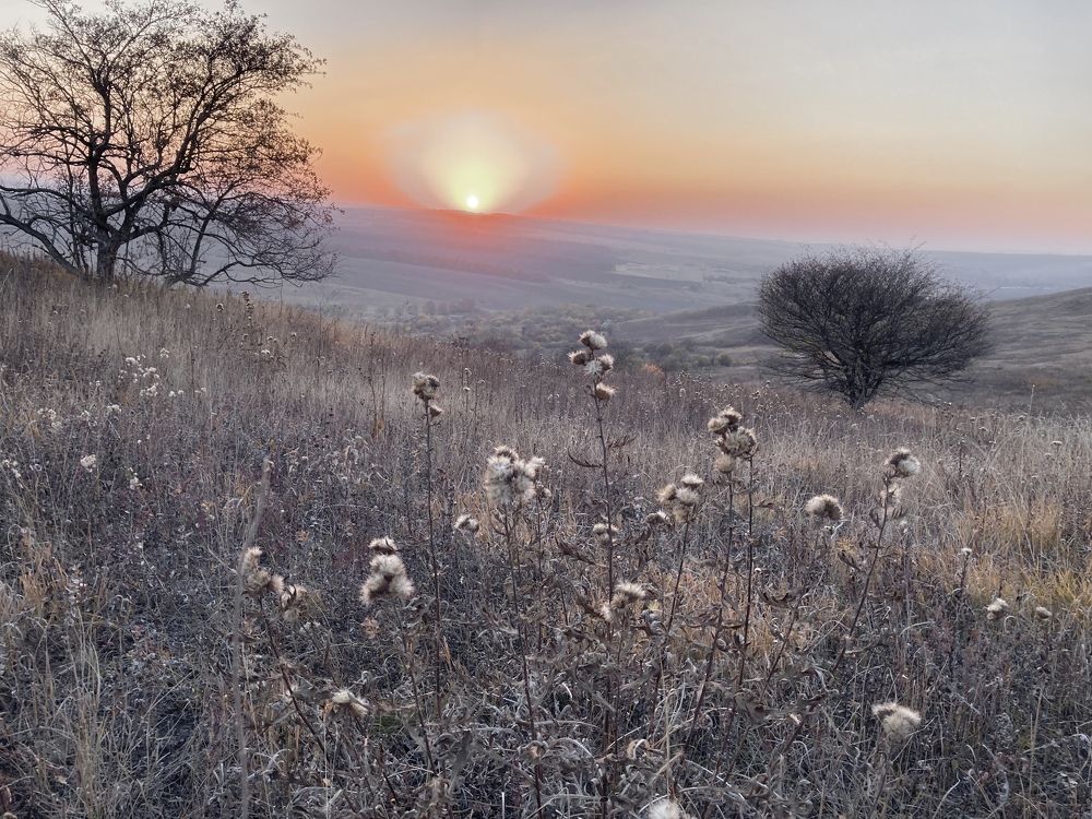 Закат в серебре