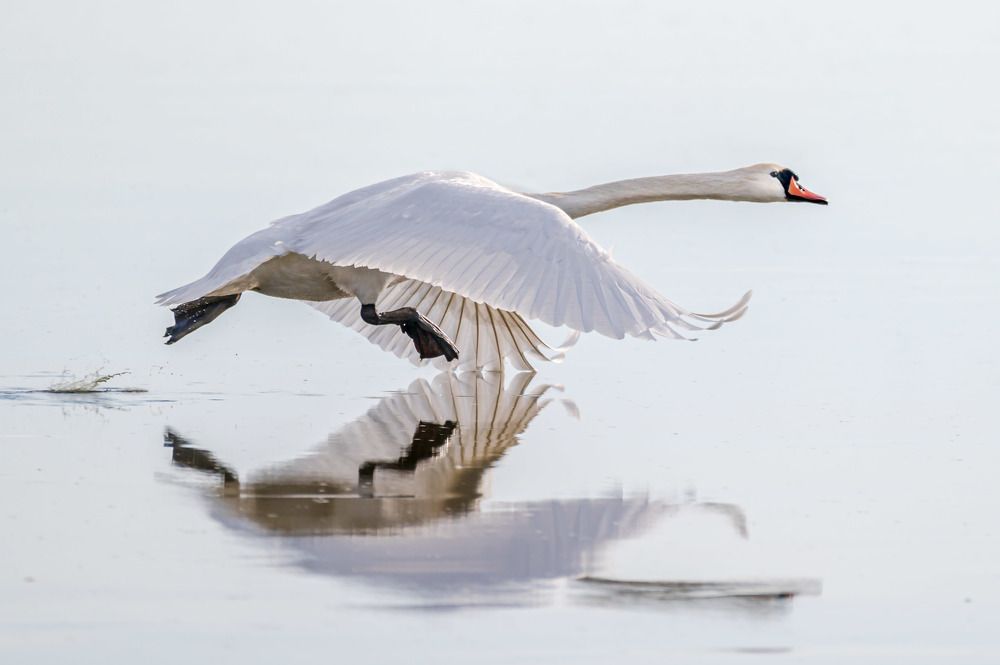 Photograph by Nikolay Hristov