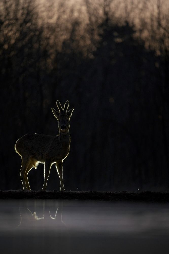 Photograph by Juraj Benčík