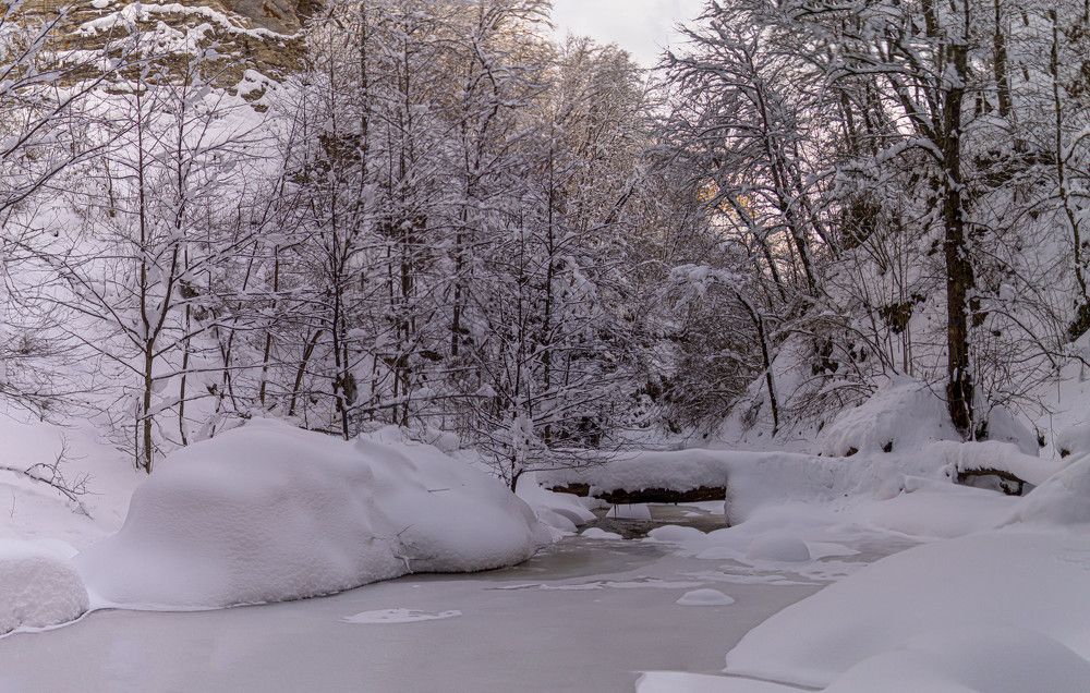 Морозное утро. Frosty morning.