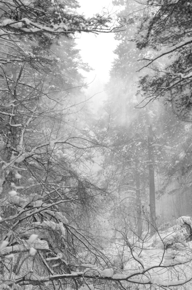 Photograph by Сергей Балухта