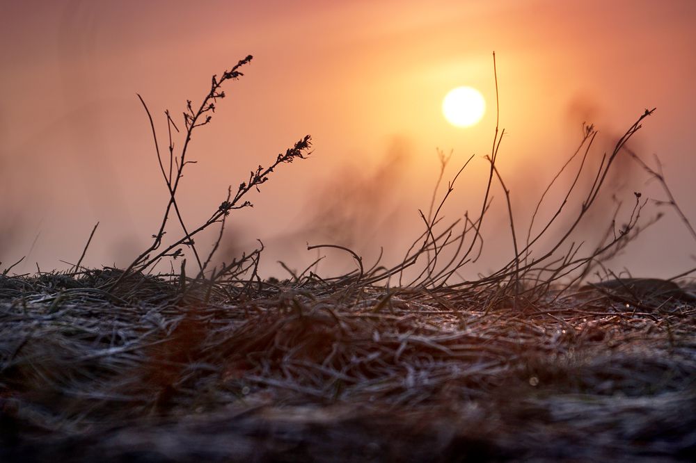 Зимнее утро