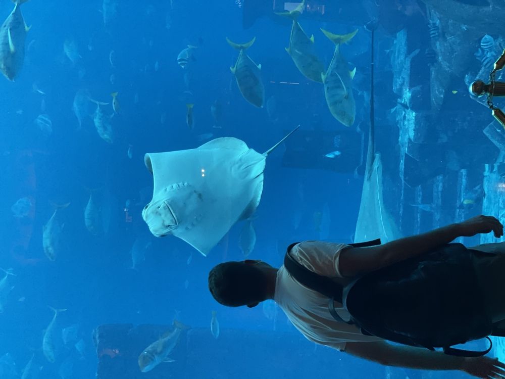 Друзья из разных миров