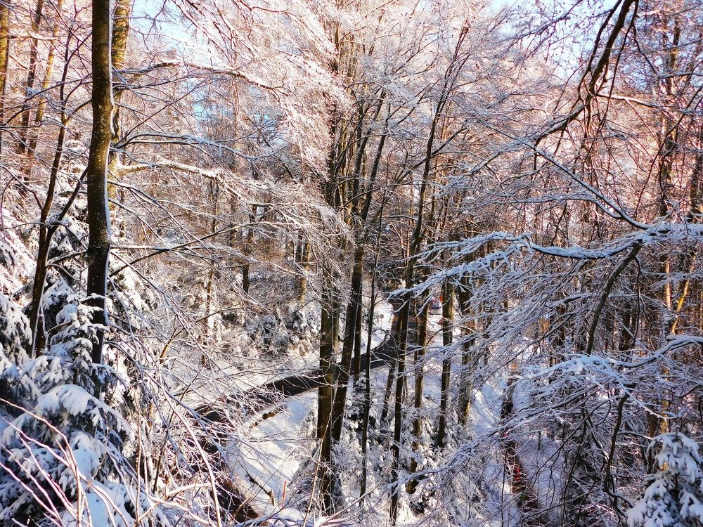 Photograph by Franka Pisaric