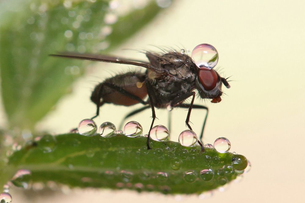 Photograph by Анатолий Ефимочкин