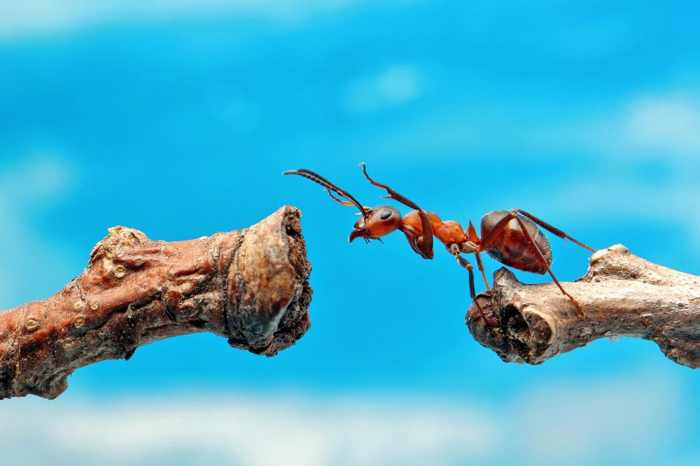 Photograph by Анатолий Ефимочкин