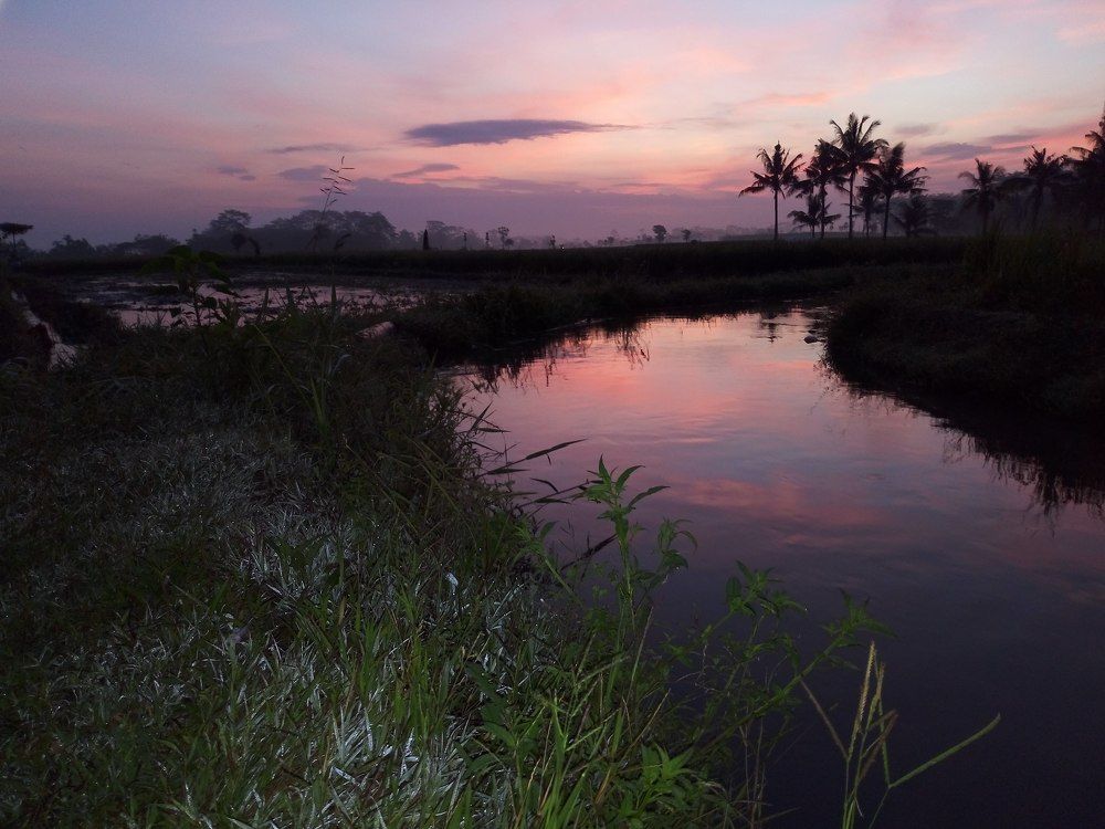 Photograph by Praptono Kushadi