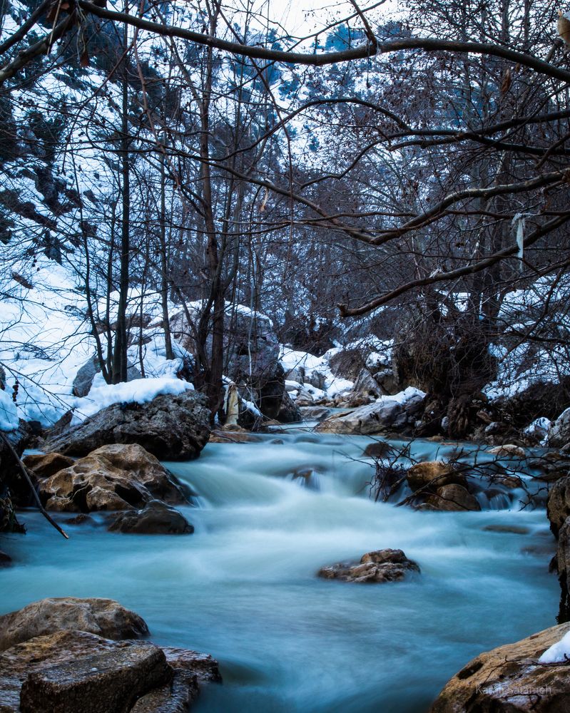 Photograph by Kamil Salameh