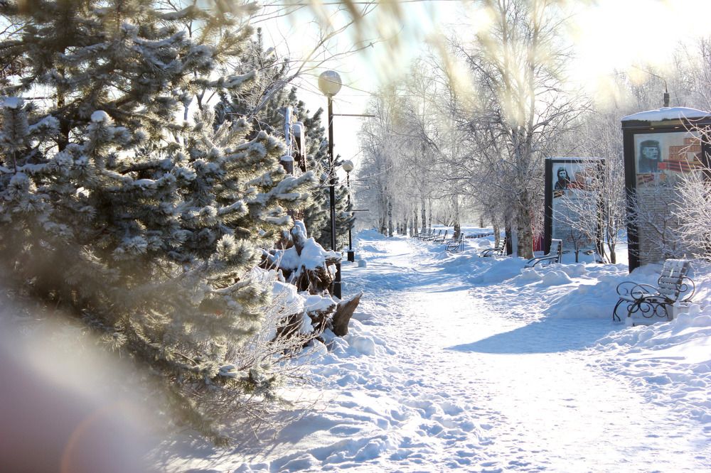 Фотография автора Анастасия Красикова