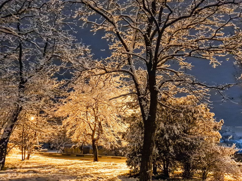 Photograph by Лариса Когтева