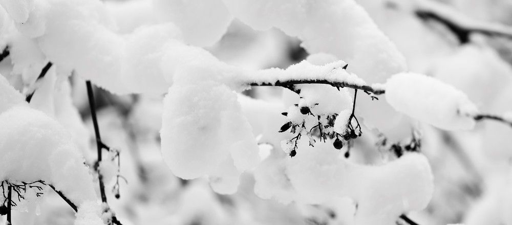 Photograph by Алексей Плясунов