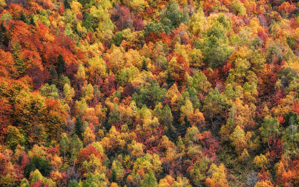 Осенний калейдоскоп...