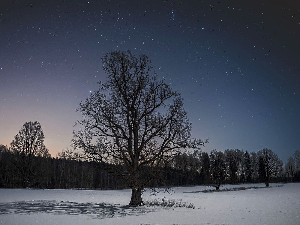 Photograph by Ирина Семёнова