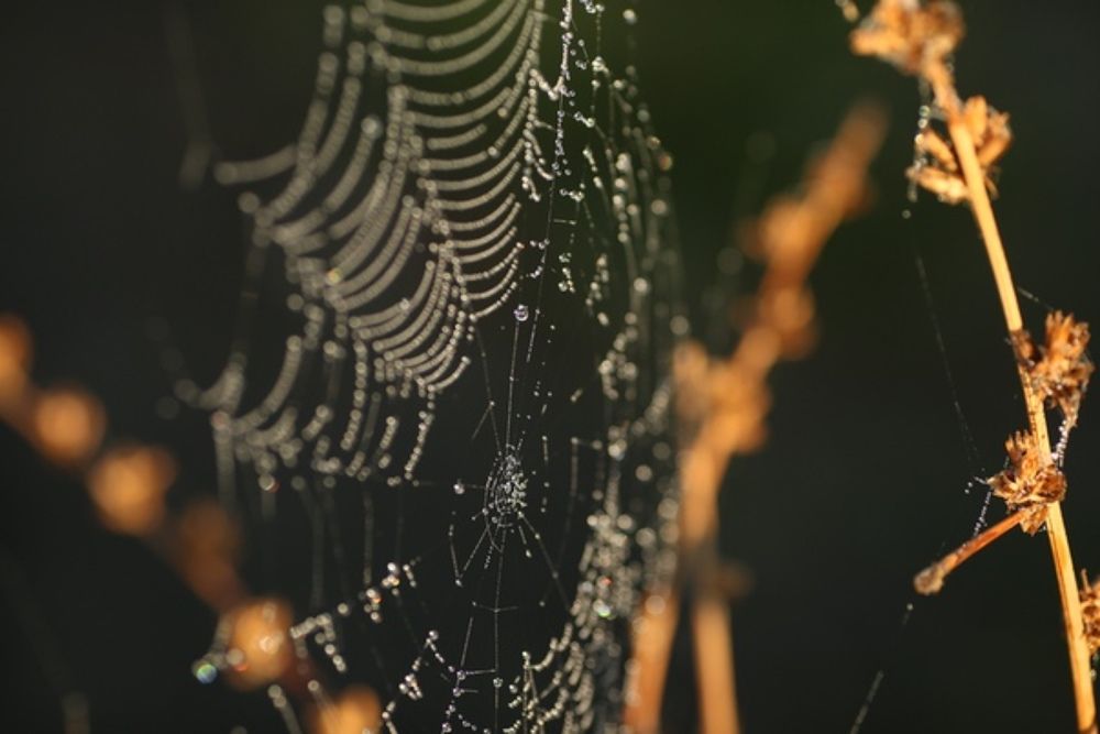 Photograph by Марго Коваленко