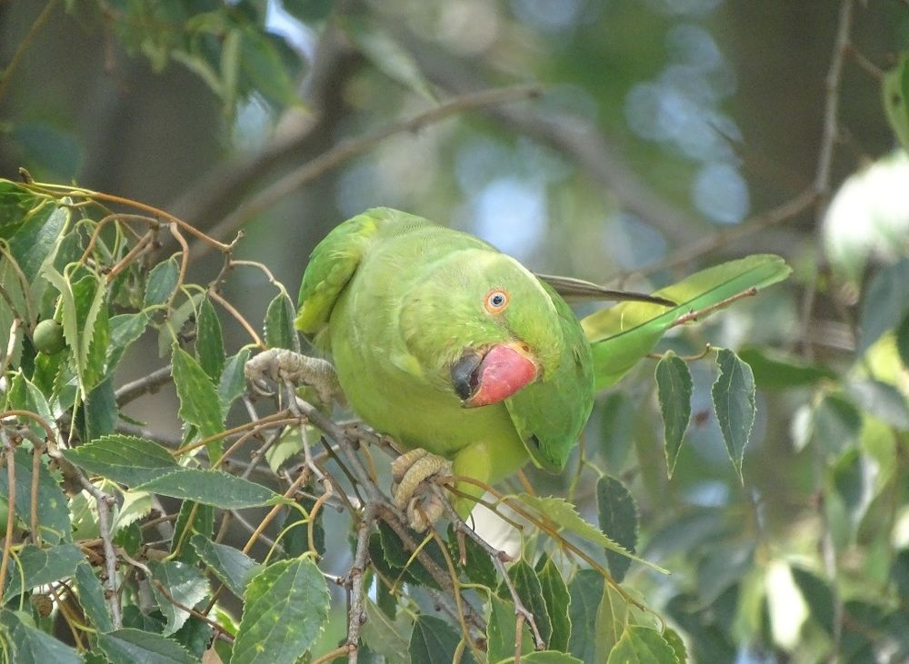 Photograph by Юлия