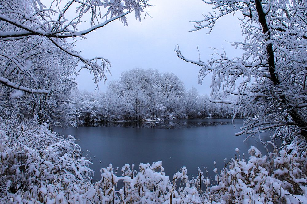 Пейзаж день