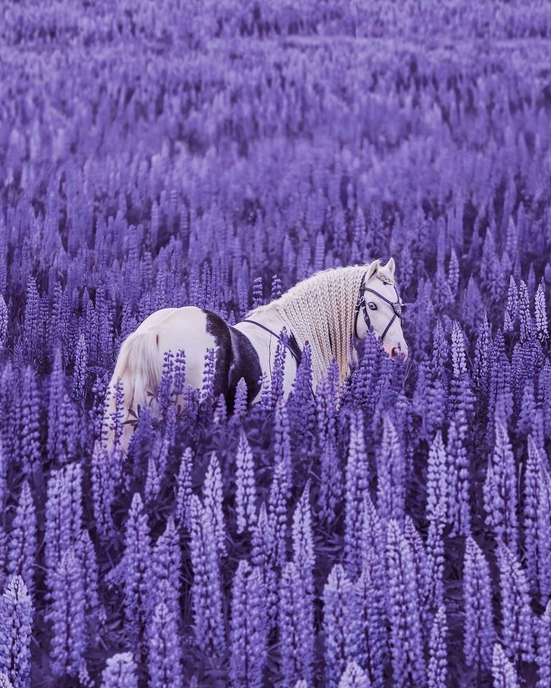 Photograph by Кристина Макеева