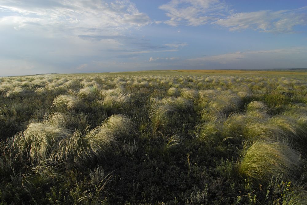 Photograph by Артур Дагнер