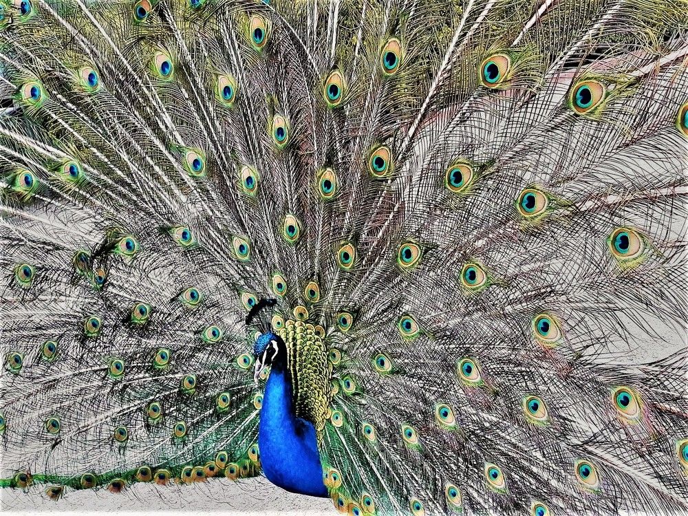 Photograph by Larissa Nayda